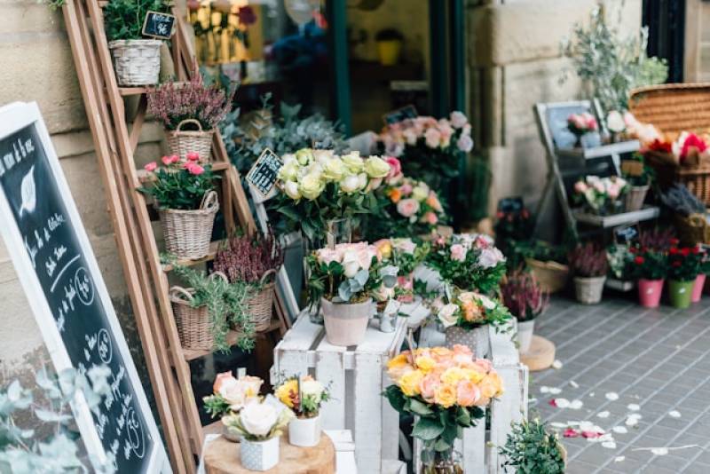 Assurance fleuriste à Marseille : protégez votre boutique de fleurs avec des garanties essentielles